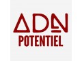 Détails : ADN Potentiel : Organisme de formation et cabinet de conseil spécialisé dans le BTP